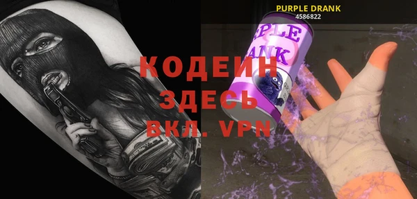индика Сясьстрой