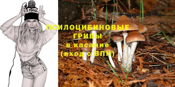 не бодяженный Тайга