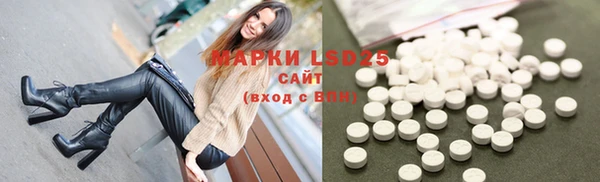 дживик Богородицк